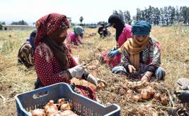 Maroc : une croissance économique marquée par de fortes inégalités