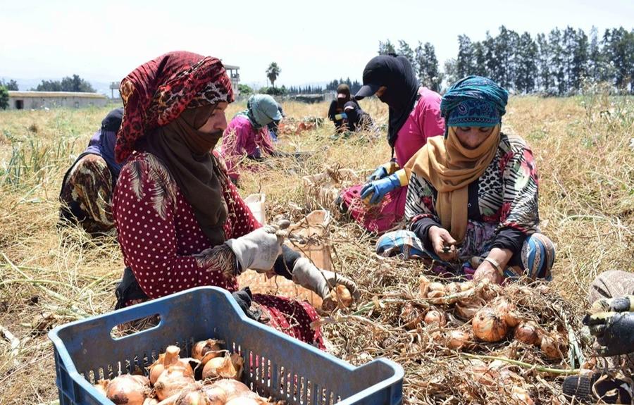 Maroc : une croissance économique marquée par de fortes inégalités