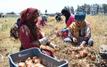 Maroc : une croissance économique marquée par de fortes inégalités