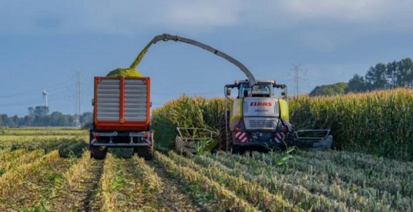 Nihon Nohyaku renforce sa présence au Maroc avec de nouveaux produits phytosanitaires