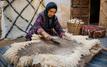 Doukkala : la Haydora, un héritage artisanal toujours vivant après l’Aïd Al-Adha