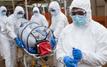 Ebola : l’Afrique et l’OMS débloquent 518 millions de dollars pour contenir l’épidémie