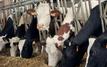 L’utilisation des antibiotiques dans l’élevage pourrait bondir de 30% d'ici 2040