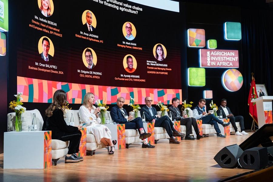 MAVA : Une plateforme engagée pour transformer les chaînes de valeur agricoles en Afrique