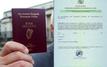 Do Brits in Spain with Irish citizenship need to exchange their green certificates for TIEs?