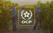 OCP revenues climb to $5.45 billion in first half of 2025 as fertilizer demand surges