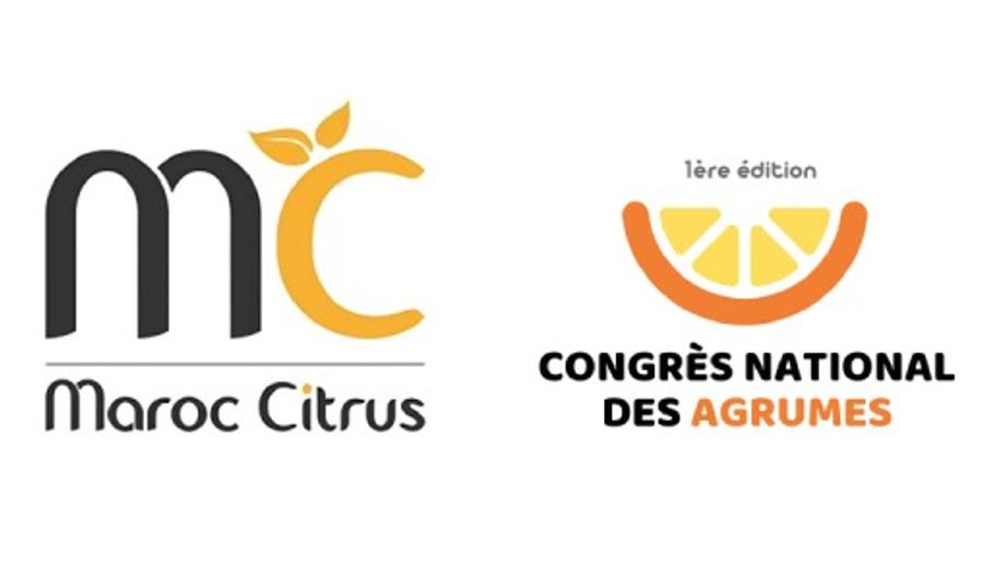 À Marrakech, le 1er Congrès National des Agrumes trace la voie d’un avenir durable pour la filière
