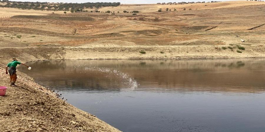 Fès : Une mobilisation forte pour éliminer les mauvaises odeurs de la décharge municipale