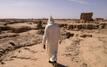 Neutralité carbone : le Maroc face à l’impératif de résilience climatique