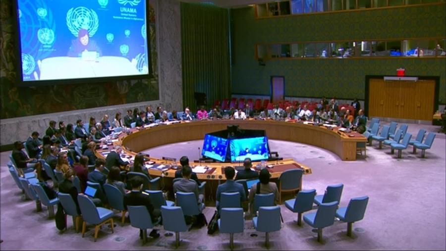 Gaza : colère et frustration à l'ONU après les blocages répétés de Washington