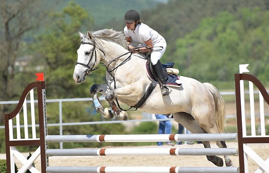 Le Morocco Royal Tour 2025 : Rabat vibre au rythme du saut d’obstacles international