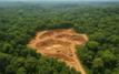 Ghana : L’interdiction des mines dans les forêts ravive le débat environnement-économie