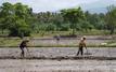 At least 31 dead as heavy floods devastate Sri Lanka