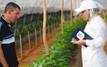 Agriculture et résilience : les conseils d’Al Moutmir