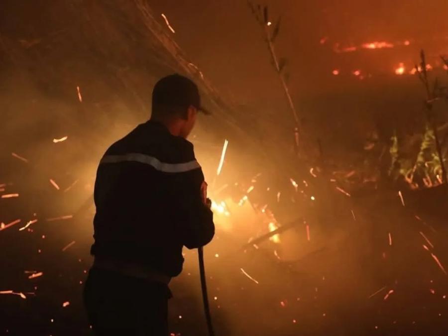 En Algérie, une enquête ouverte après une vague d’incendies en plein automne