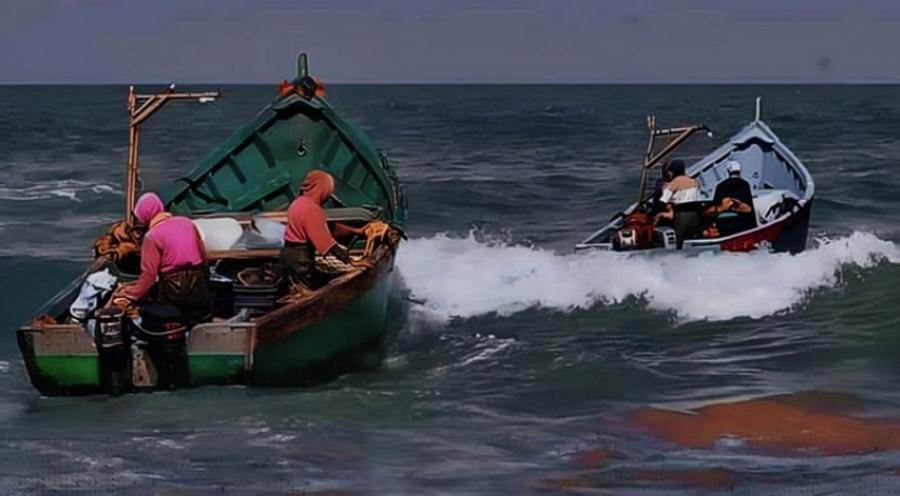 Alerte de la délégation de la pêche maritime à Laâyoune sur les conditions météorologiques difficiles