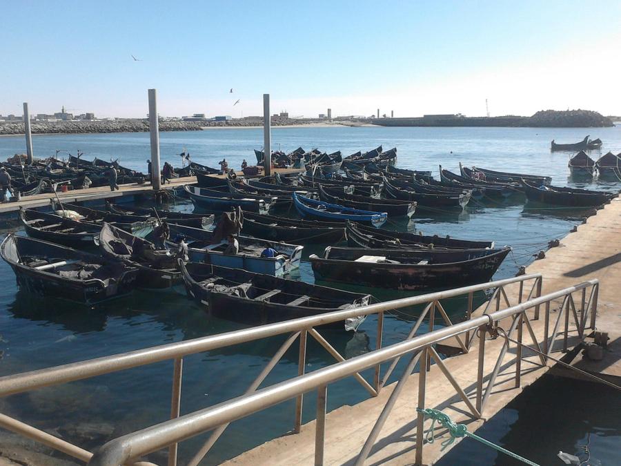 Le port de Tarfaya : un nouvel élan économique grâce à la pêche au poulpe