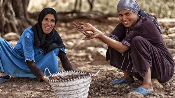 Quand les femmes rurales bâtissent l’économie sociale et solidaire du Maroc 