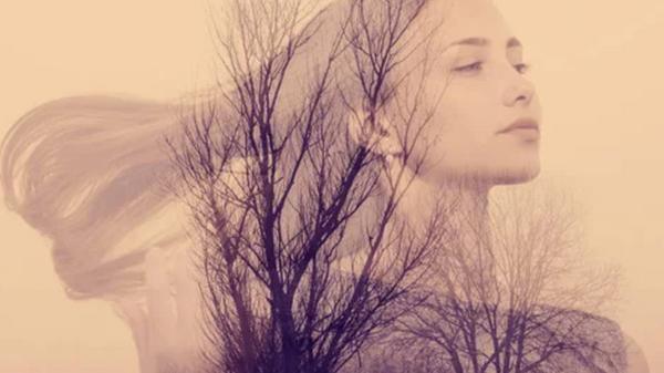 Les intuitions qu’on n’écoute jamais : et si c’était notre vraie boussole ?