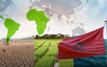 Morocco cultivates Africa-Latin America alliance on climate and food security