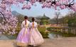 Korean culture week in Rabat: A vibrant celebration of tradition and modernity