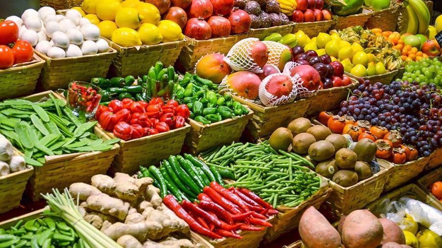 Fruits et légumes marocains : des exportations en nette reprise sur la campagne 2024-2025