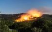 Incendies de forêt : l’ANEF alerte sur les zones à haut risque jusqu’au 24 juillet