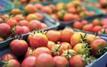 Spain boosts imports of Moroccan fruits and vegetables by 24% in Q1 2025