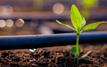 Morocco strengthens food security in Ghana with fertilizer donation and expanded cooperation