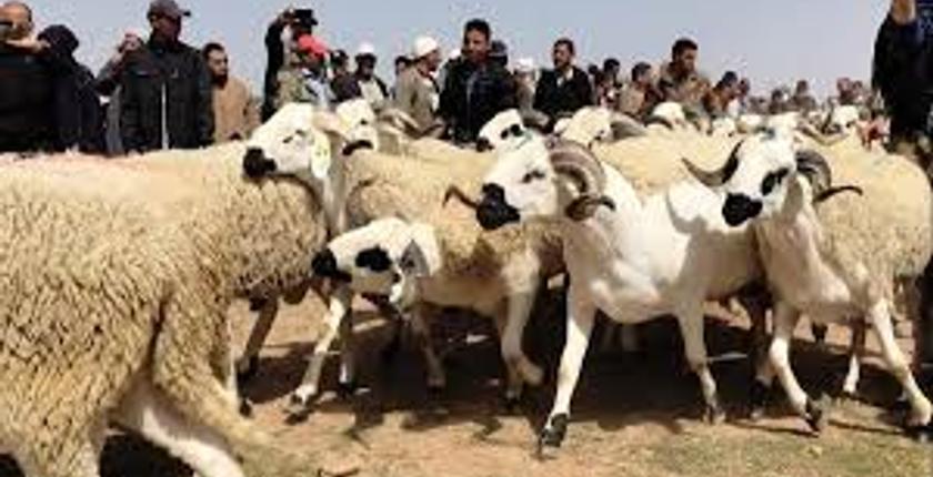 فريق الأصالة والمعاصرة بسائل أخنوش حول وضعية الكسابة 