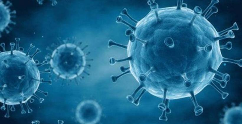 علماء مغاربة يحددون تاريخ اختفاء فيروس "كورونا" المستجد
