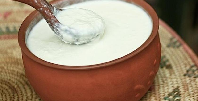 "الرائب".. فوائد عظيمة للجهاز الهضمي ودرع مضاد للإنفلونزا