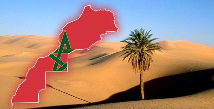 المختار غامبو: "النزاع حول الصحراء المغربية لا يوجد سوى في الخيال الفاسد للإنفصاليين ورعاتهم الجزائريين"