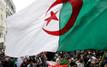 Arrestations, emprisonnements et «confinement» du Hirak : le vrai visage d'un pouvoir aux abois