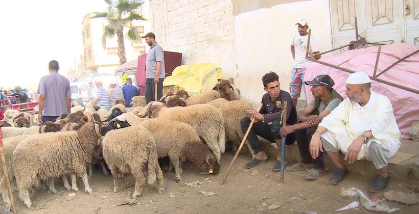 عيد الأضحى وجائحة "كورونا".. إقرار تدابير وقائية إضافية !