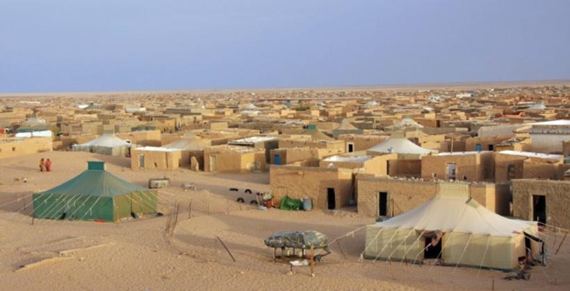 خبير ياباني يفند إدعاءات الجزائر و"البوليساريو" بخصوص تمثيلية ساكنة الصحراء 