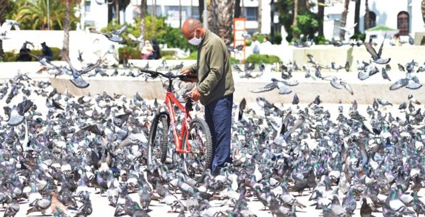 المغرب يسجل 84 حالة إصابة مؤكدة جديدة بفيروس كورونا المستجد