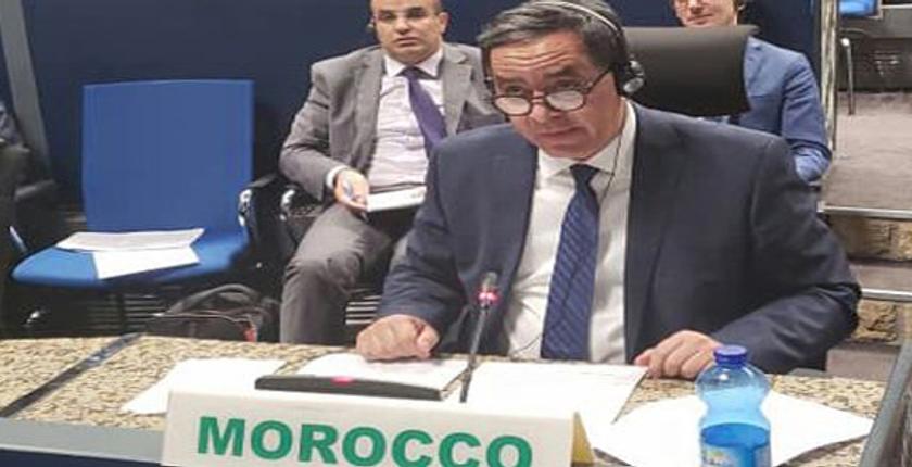 المغرب يحدد أسس السلام الدائم في إفريقيا