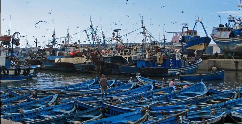 Pêche côtière et artisanale: Repli de 4% des débarquements à fin septembre (ONP)
