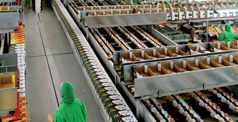 Agriculture durable : AZURA s'allie à SUEZ