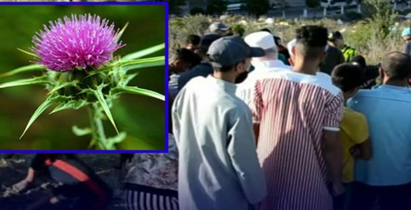 بالتفاصيل.. نبتة سامة تعجل بوفاة طفلين في طنجة