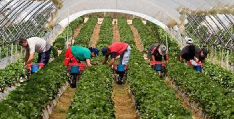 في أعلى حصيلة يومية بكورونا..المغرب يسجل 539 إصابة جديدة 