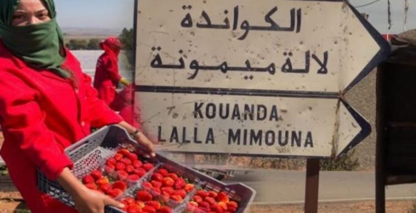 النيابة العامة تعلن فتح تحقيق في البؤرة الوبائية بـ"للا ميمونة"