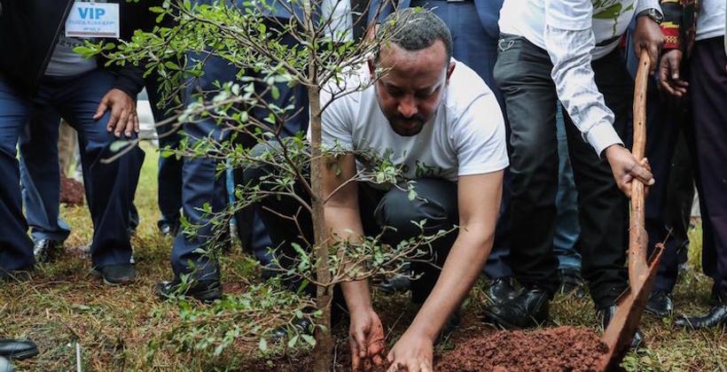 L’Ethiopie lance la 2eme édition de la «Green Legacy Initiative» pour la plantation de 5 milliards d’arbres