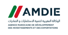 Agence marocaine de développement des investissements et des exportations
