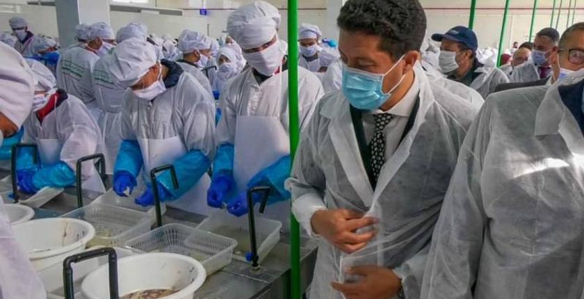 توفر نحو 1000 منصب شغل.. افتتاح وحدة صناعية لمعالجة السمك بجرادة