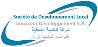 Société de développement local