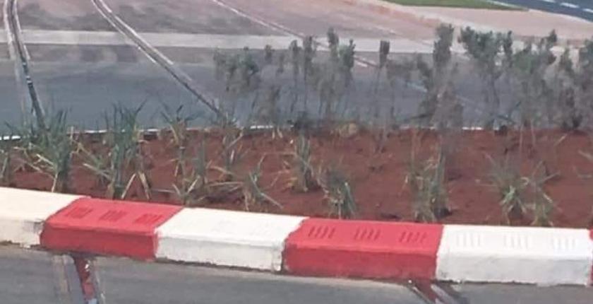"فيسبوكيون" يسخرون من "مدار طرقي" فوق سكة الترامواي.. ونائب عمدة سلا يوضح
