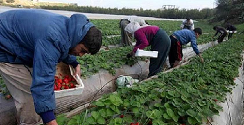 التوقيع بالرباط على اتفاقية شراكة من أجل مواكبة العمال المغاربة بإسبانيا