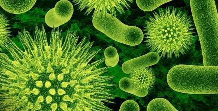 دراسة تكشف عن نوع من البكتريا  يقلل الإجهاد ويزيد السعادة